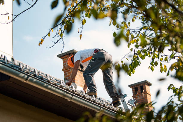 Best Roof Replacement  in Cartervle, IL