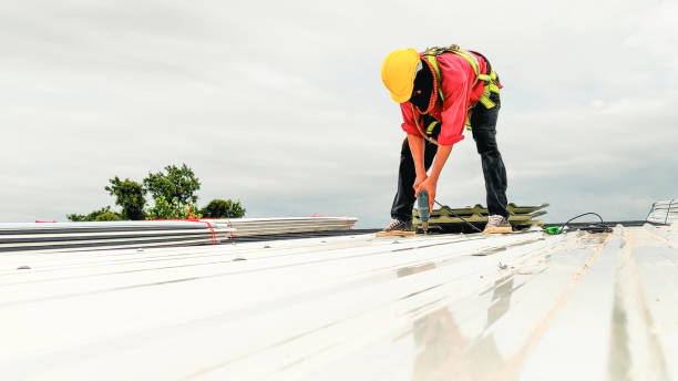 Best Asphalt Shingle Roofing  in Cartervle, IL
