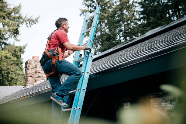 Best Roof Coating and Sealing  in Cartervle, IL