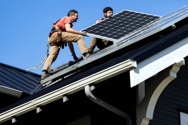 Best Roof Leak Repair  in Cartervle, IL