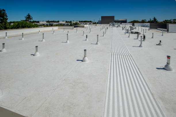 Best Roofing for New Construction  in Cartervle, IL